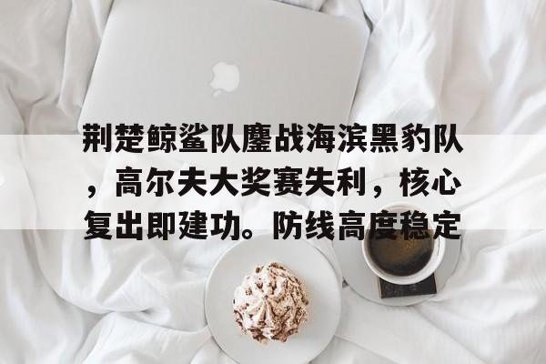 关于荆楚鲸鲨队鏖战海滨黑豹队，高尔夫大奖赛失利，核心复出即建功。防线高度稳定的信息